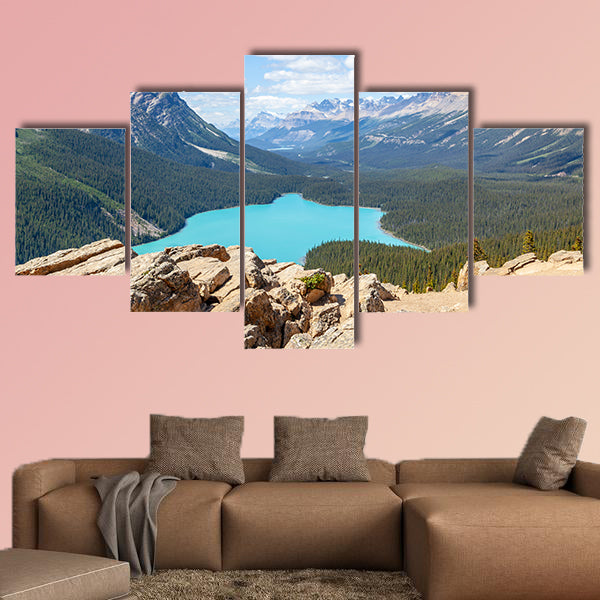 Bow Summit in Banff National Park overlooking Peyto Lake wall art