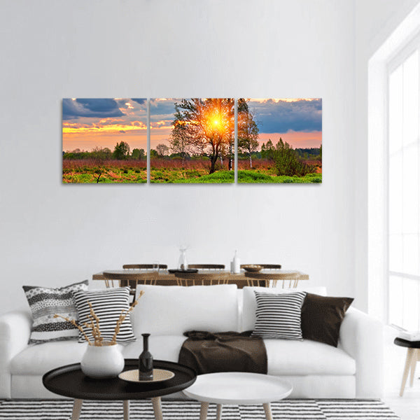 Landscape with coloful sunset in summer field Panoramic Canvas Wall Art