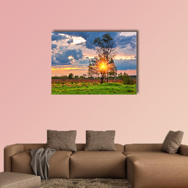 Landscape with colorful sunset in summer field multi panel canvas wall art