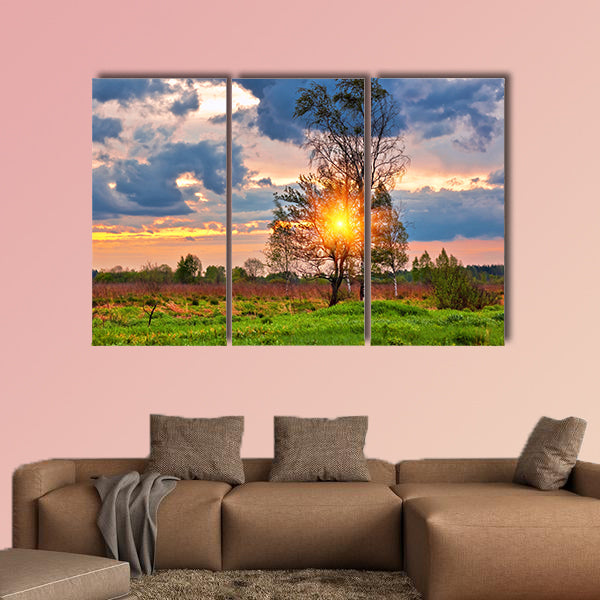 Landscape with colorful sunset in summer field multi panel canvas wall art
