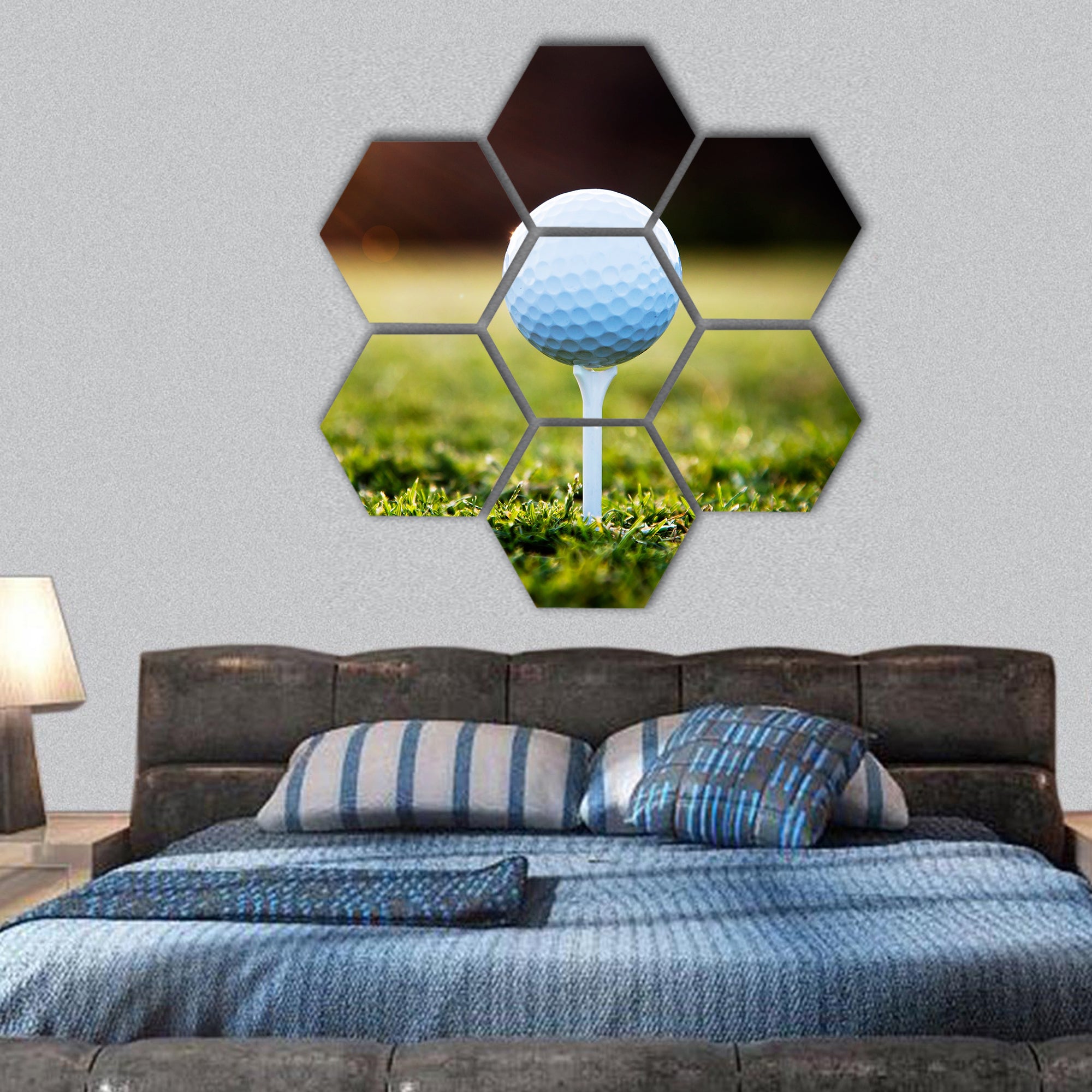 Close up of golf ball on tee hexagonal canvas wall art