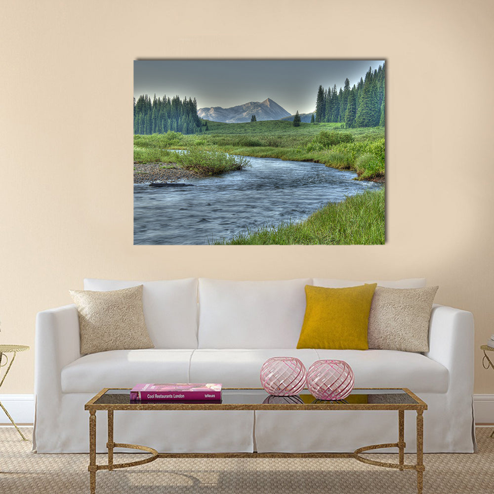 Cold clear stream in summer Multi Panel Canvas Wall Art