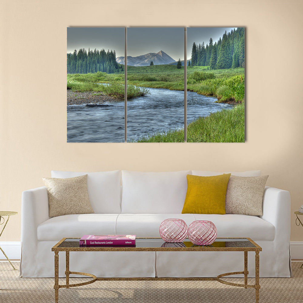 Cold clear stream in summer Multi Panel Canvas Wall Art