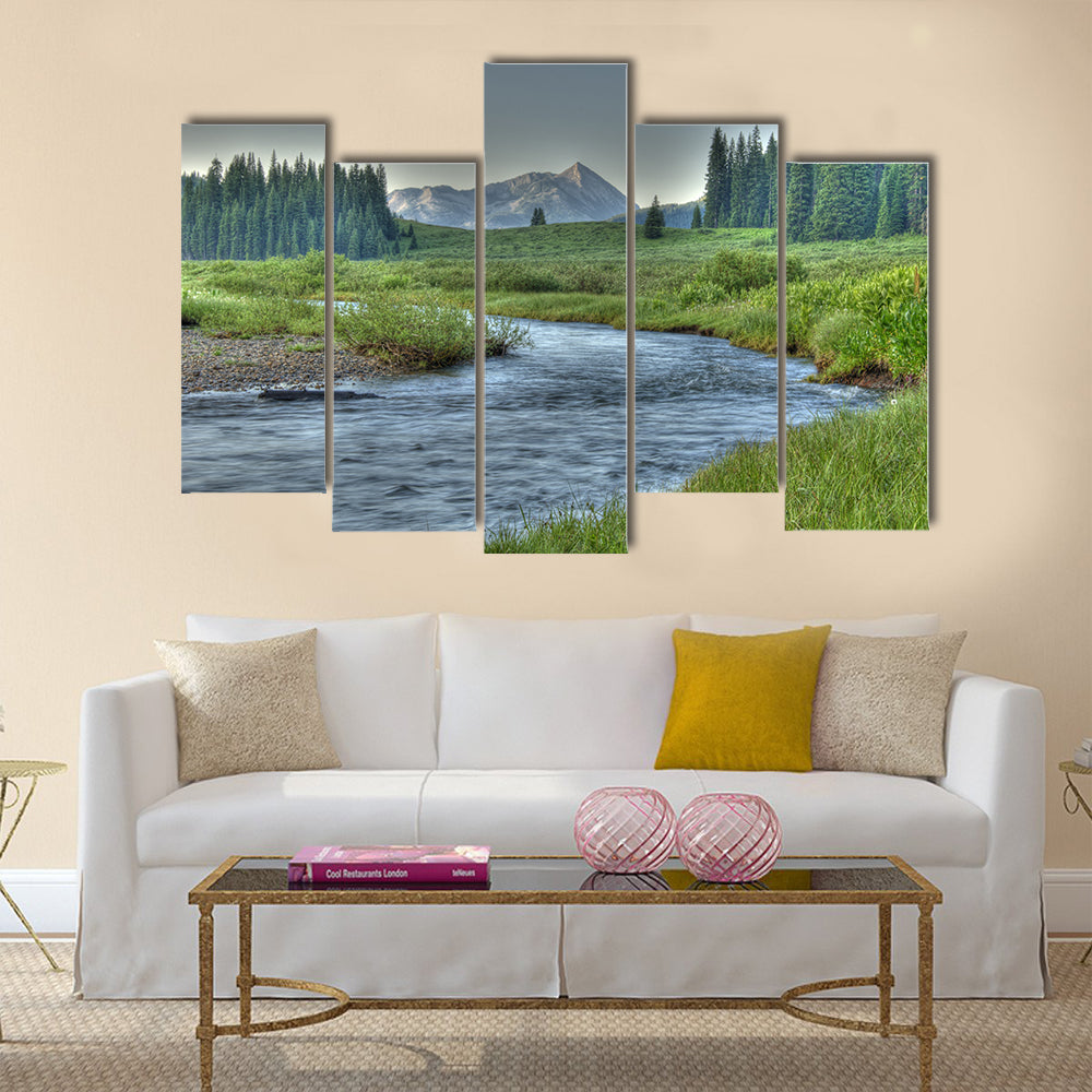 Cold clear stream in summer Multi Panel Canvas Wall Art