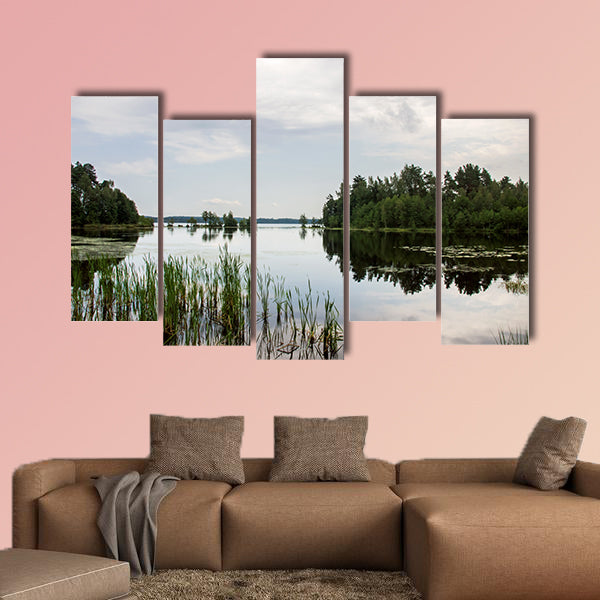 Lake and forest on the shore, a reflection of the sky wall art