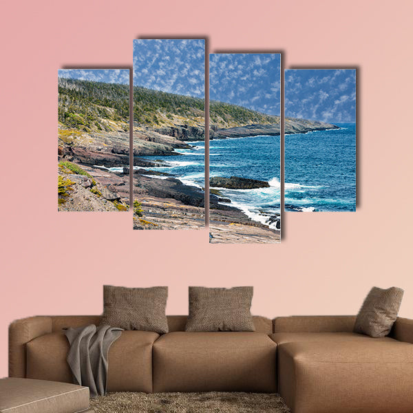Newfoundland shore. Newfoundland and Labrador, Canada wall art