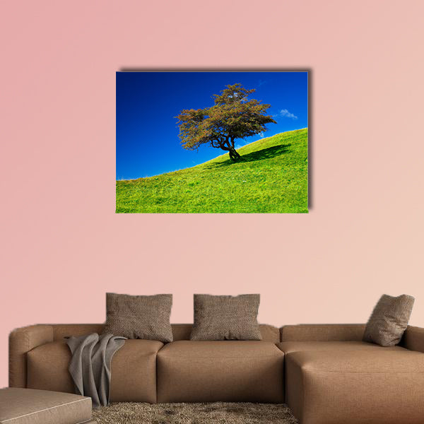 Landscape with a single tree on a meadow multi panel canvas wall art