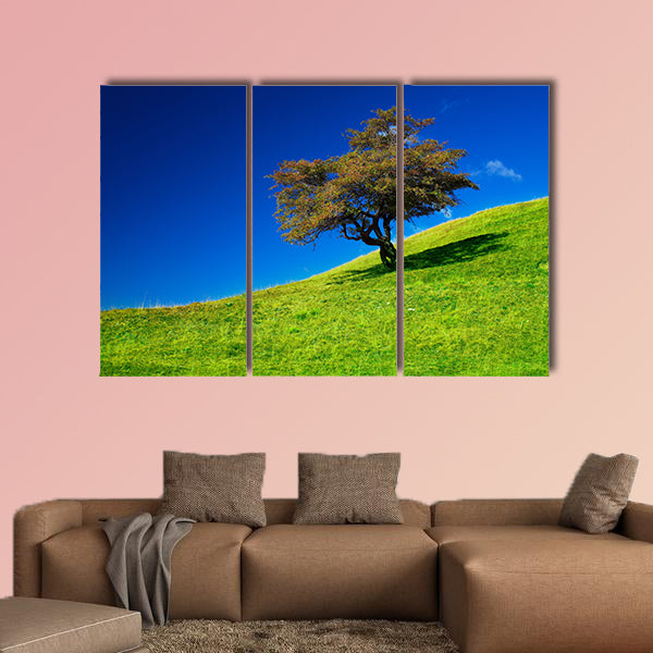 Landscape with a single tree on a meadow multi panel canvas wall art