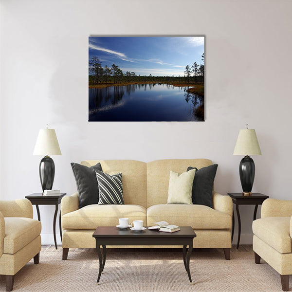 Swamp Viru raba in Estonia.The nature of Estonia Multi panel canvas wall art
