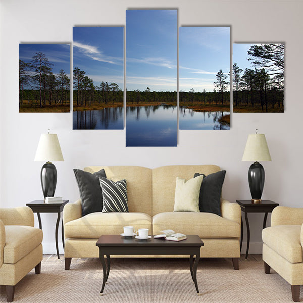 Swamp Viru raba in Estonia.The nature of Estonia Multi panel canvas wall art