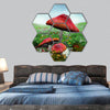 Enchanted nature series - enchanted meadow hexagonal canvas wall art