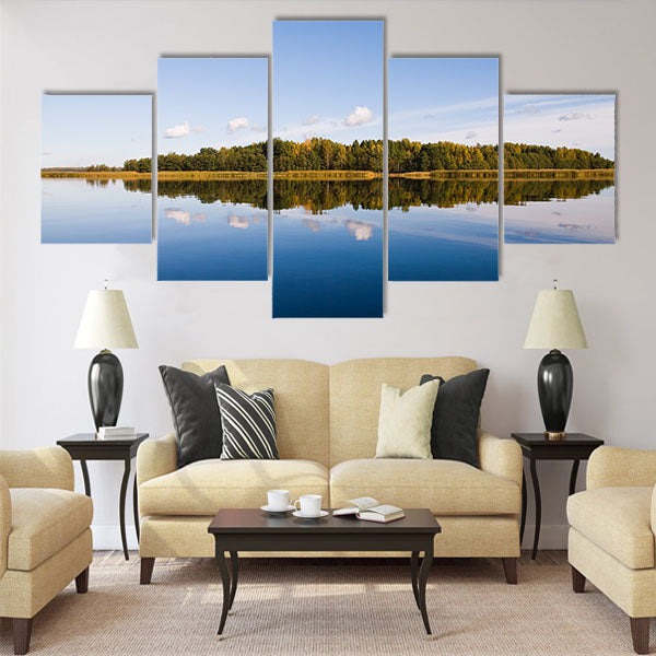 beautiful forest at the gulf coast Multi panel canvas wall art