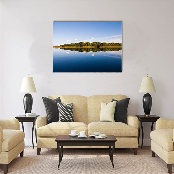 beautiful forest at the gulf coast Multi panel canvas wall art