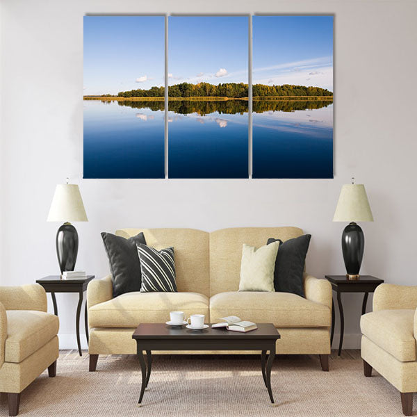 beautiful forest at the gulf coast Multi panel canvas wall art