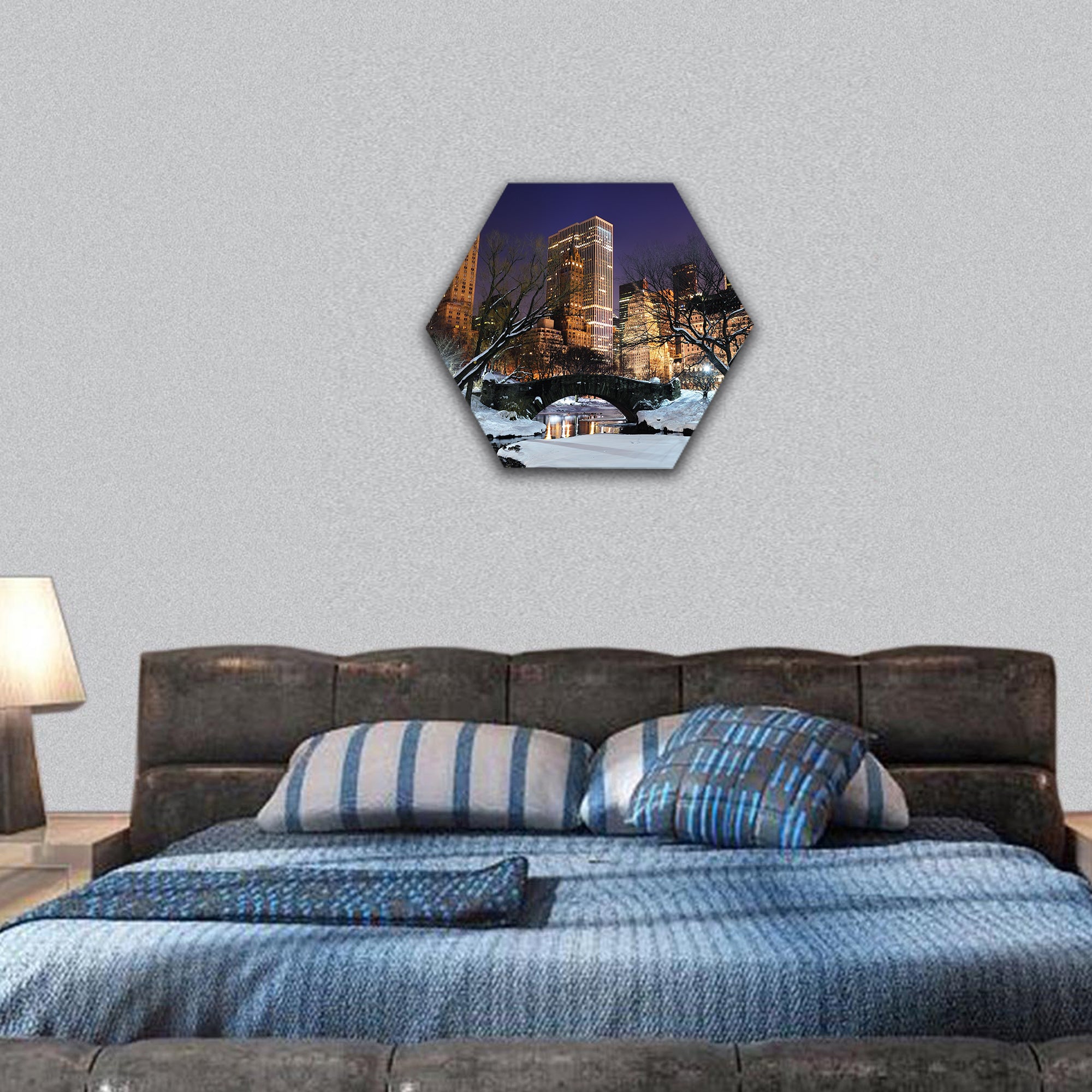 New York City Manhattan Central Park  hexagonal canvas wall art