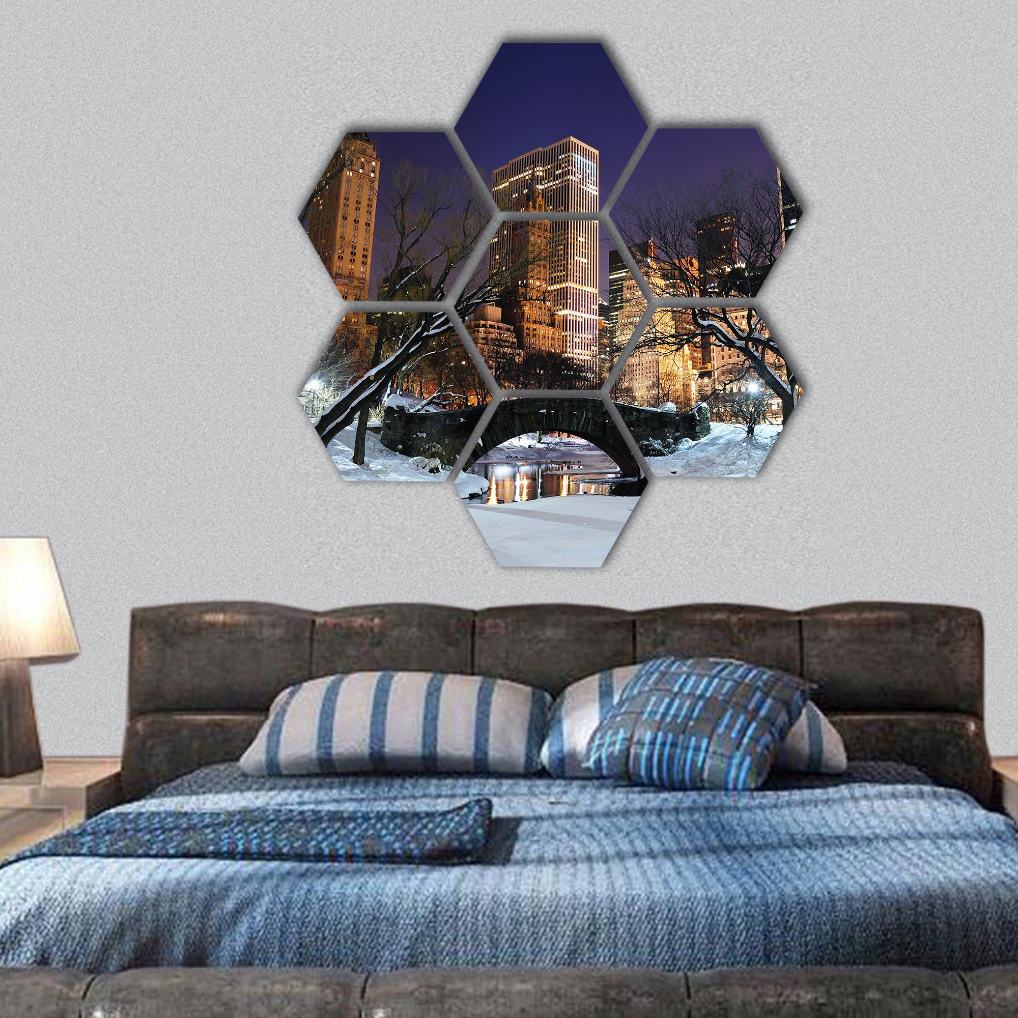 New York City Manhattan Central Park  hexagonal canvas wall art