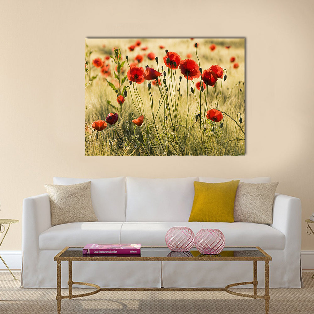 Poppy flower field Multi Panel Canvas Wall Art