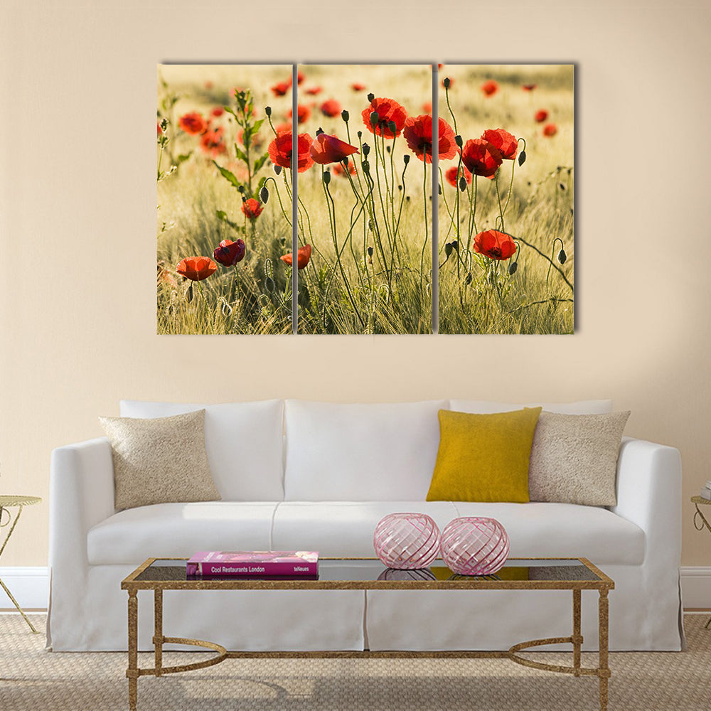 Poppy flower field Multi Panel Canvas Wall Art