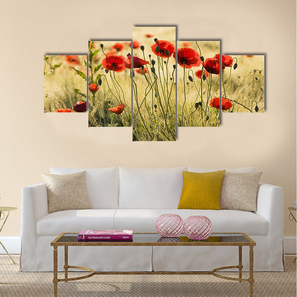 Poppy flower field Multi Panel Canvas Wall Art