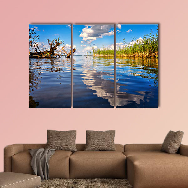 Beautiful forest with clouds reflecting on calm lake shore wall art