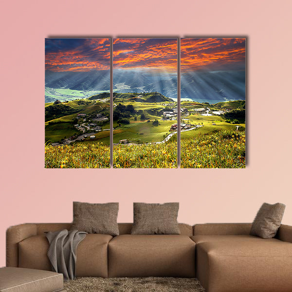 Daylily flower at sixty Stone Mountain in Taiwan Hualien wall art