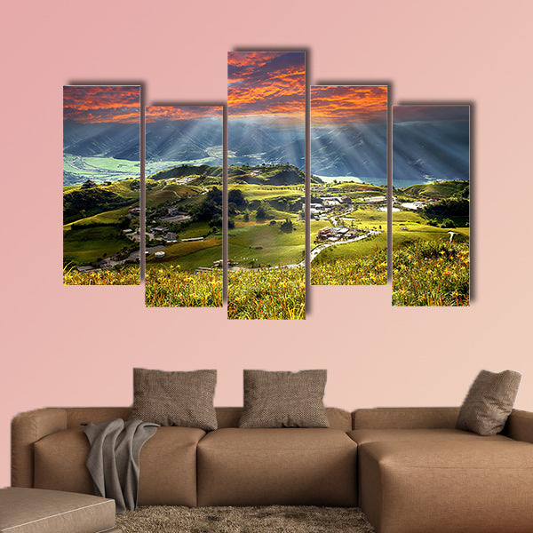 Daylily flower at sixty Stone Mountain in Taiwan Hualien wall art