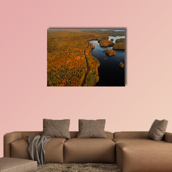 Aerial view from Liesjärvi National Park multi panel canvas wall art