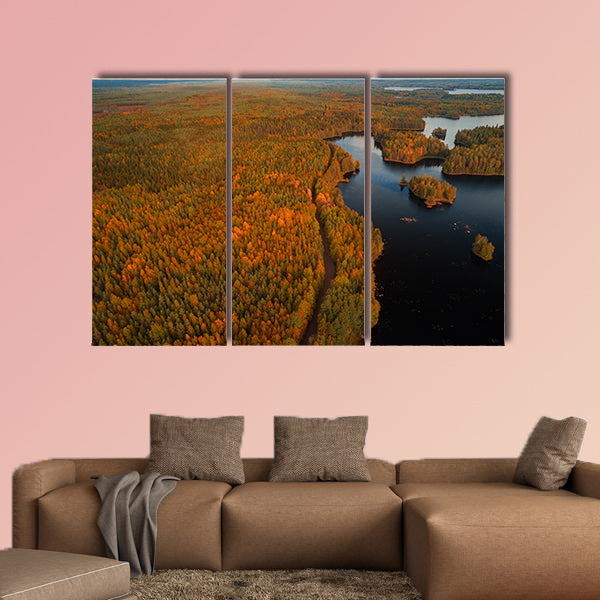 Aerial view from Liesjärvi National Park multi panel canvas wall art