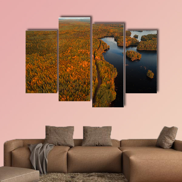 Aerial view from Liesjärvi National Park multi panel canvas wall art