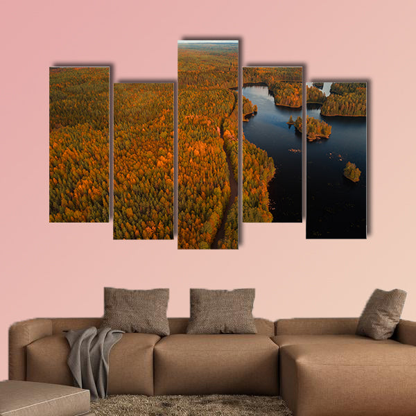 Aerial view from Liesjärvi National Park multi panel canvas wall art