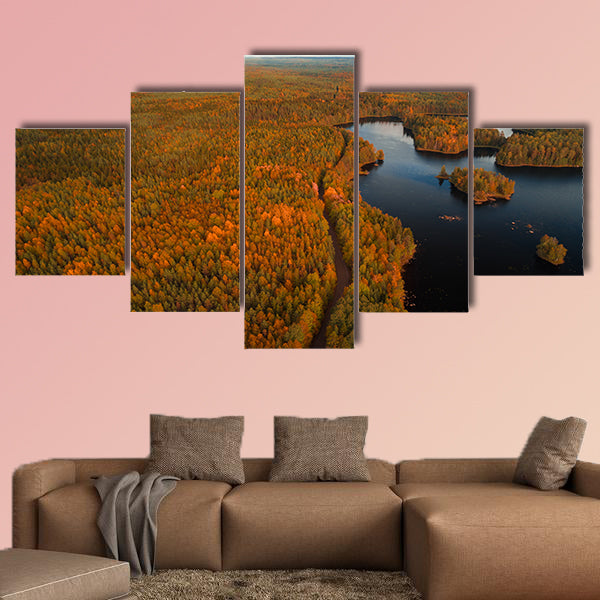 Aerial view from Liesjärvi National Park multi panel canvas wall art