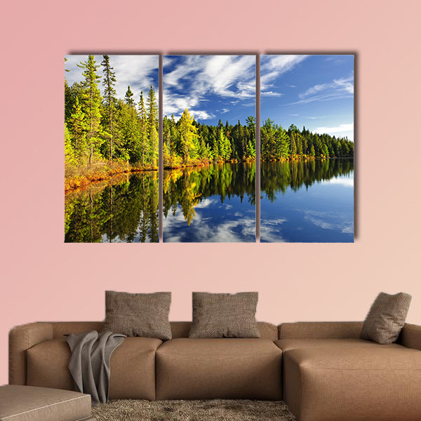Beautiful forest reflecting on calm lake shore at Algonquin Park wall art