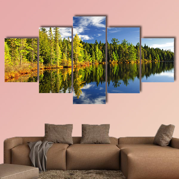 Beautiful forest reflecting on calm lake shore at Algonquin Park wall art
