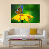 Blue butterfly on yellow flower Multi Panel Canvas Wall Art