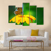 Blue butterfly on yellow flower Multi Panel Canvas Wall Art