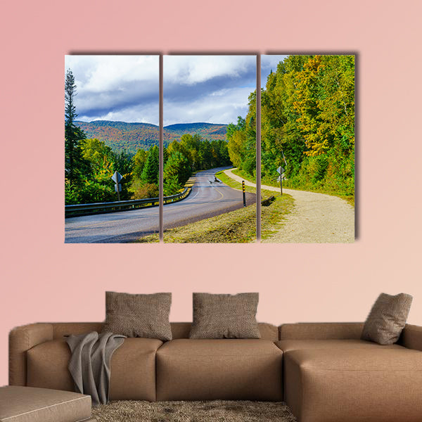 View of a footpath and road, in Mont Tremblant National Park, Quebec, Canada multi panel canvas wall art
