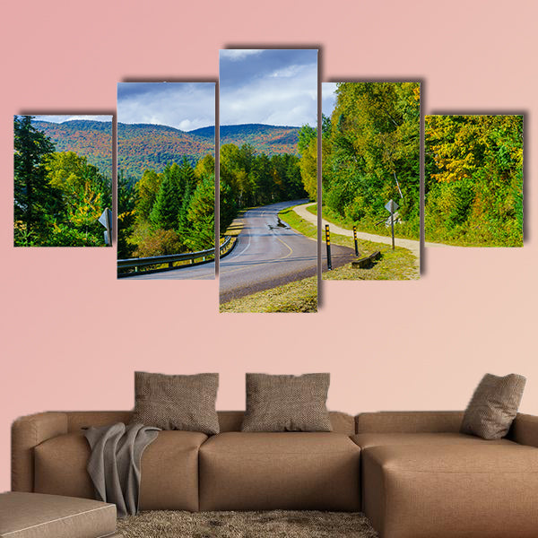 View of a footpath and road, in Mont Tremblant National Park, Quebec, Canada multi panel canvas wall art