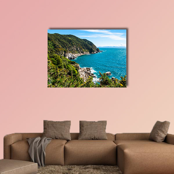 View of the lighthouse at Separation point.The coastline in Abel Tasman National Park, South Island, New Zealand.