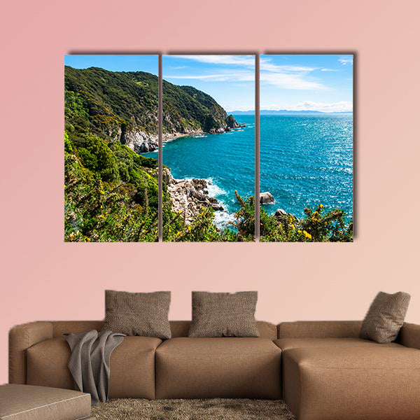 View of the lighthouse at Separation point.The coastline in Abel Tasman National Park, South Island, New Zealand.