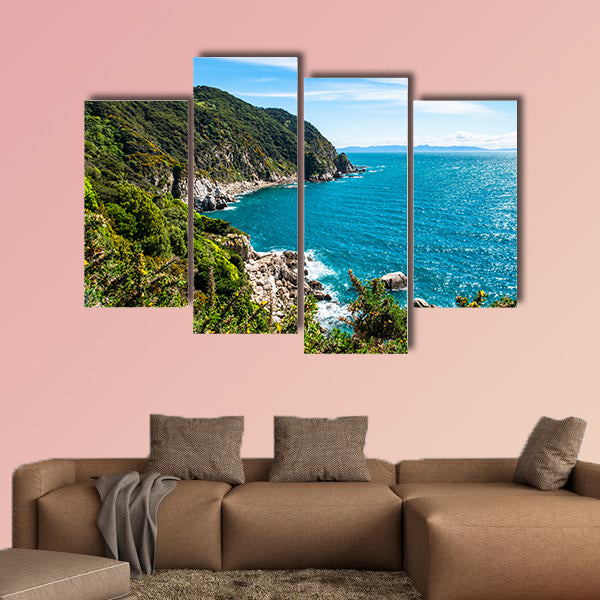 View of the lighthouse at Separation point.The coastline in Abel Tasman National Park, South Island, New Zealand.