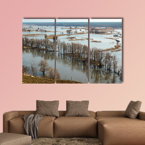 Flooded trees during high water in spring time, multi panel canvas wall art