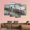 Flooded trees during high water in spring time, multi panel canvas wall art