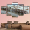 Flooded trees during high water in spring time, multi panel canvas wall art