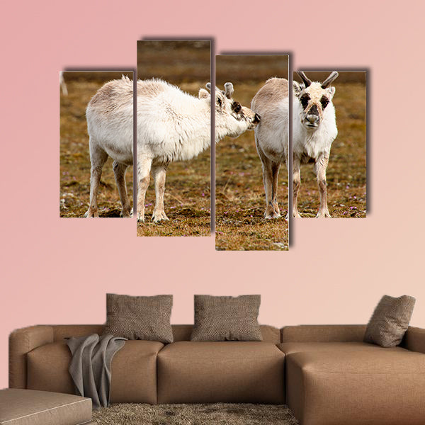 Reindeer in Spitzbergen Multi panel canvas wall art
