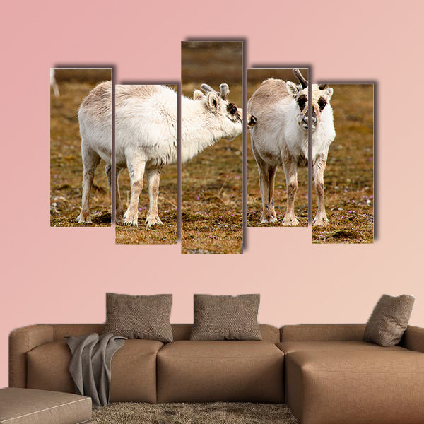 Reindeer in Spitzbergen Multi panel canvas wall art