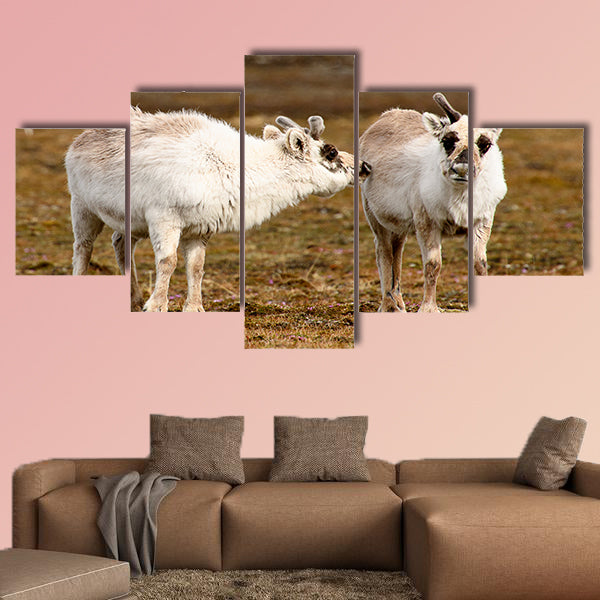 Reindeer in Spitzbergen Multi panel canvas wall art
