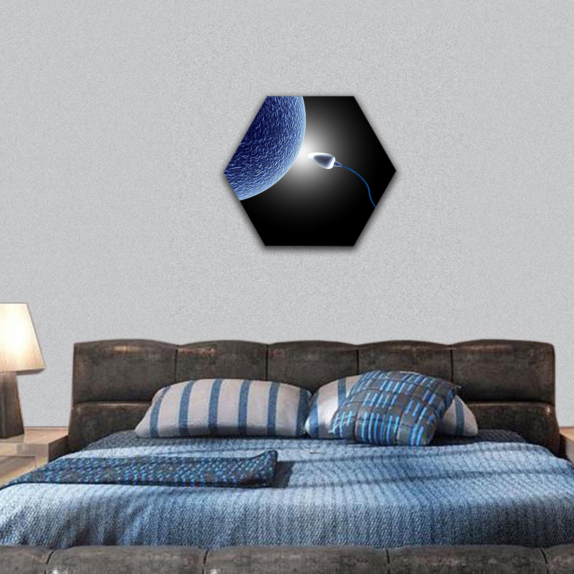 Human sperm and egg life hexagonal canvas wall art