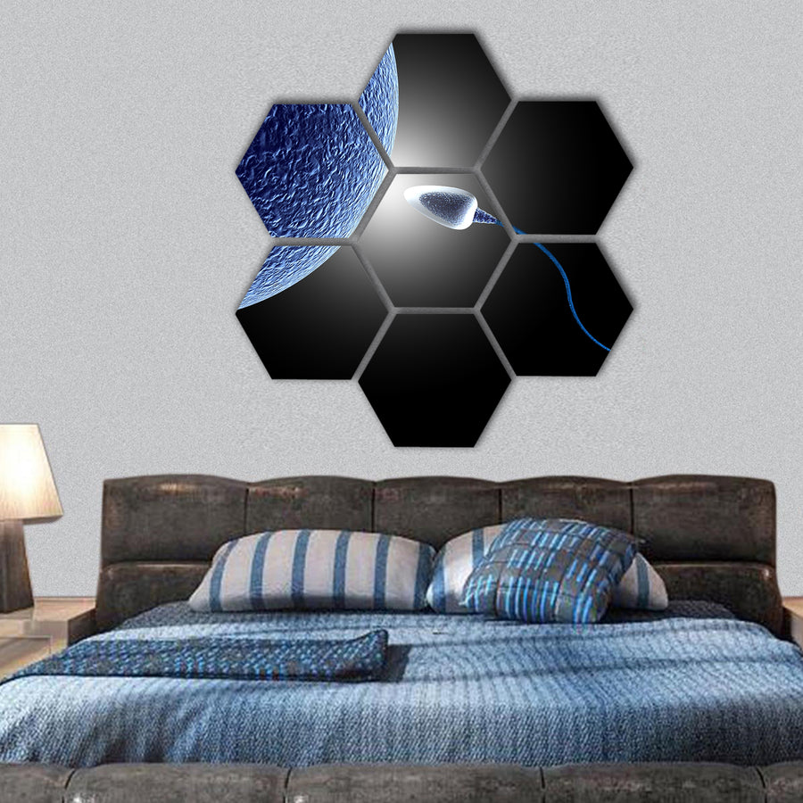 Human sperm and egg life hexagonal canvas wall art