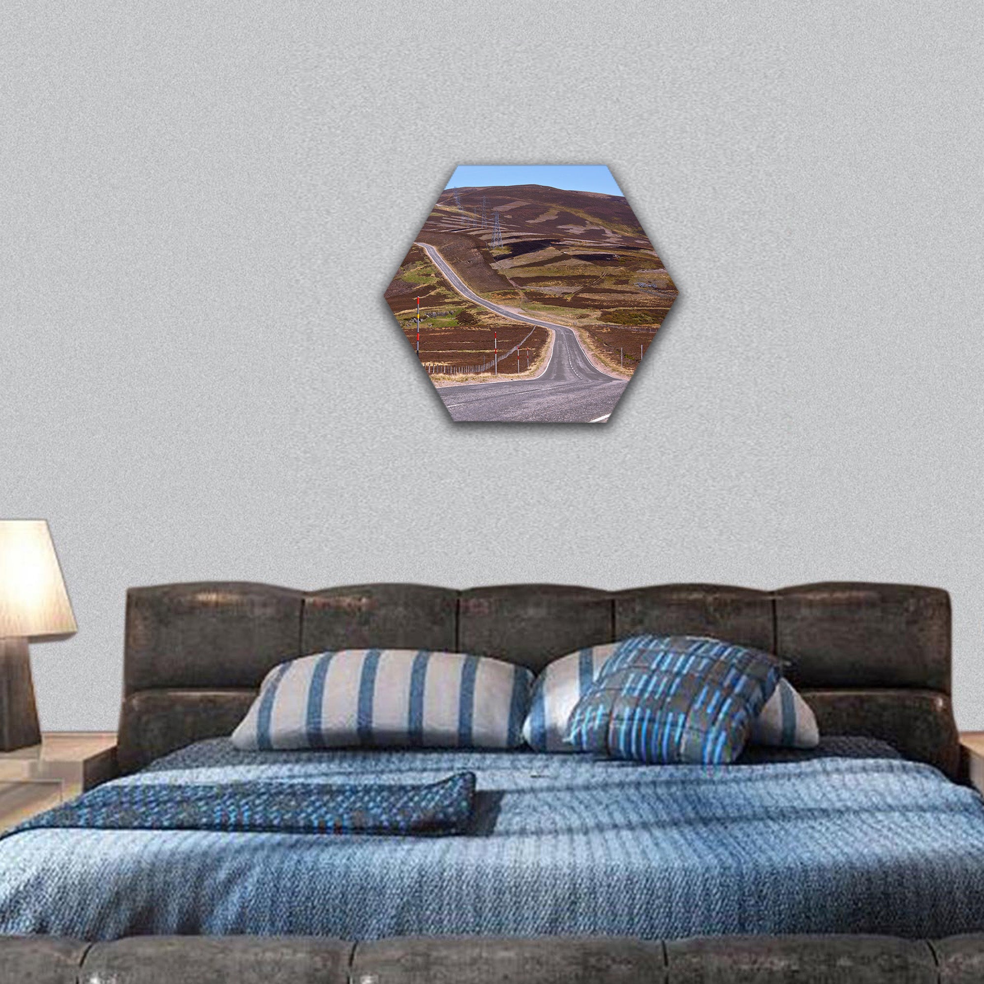 Picturesque road in Scottish Highlands hexagonal canvas wall art
