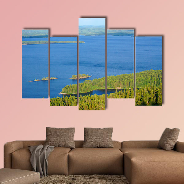 View of the lake Pielinen with many small islands in national wall art
